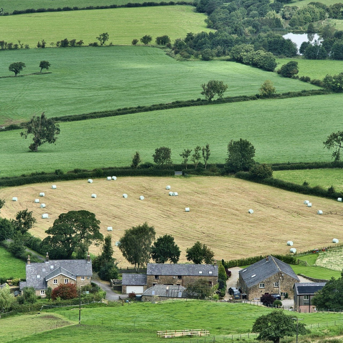 Our Products are Always Farmed and Never Manufactured
