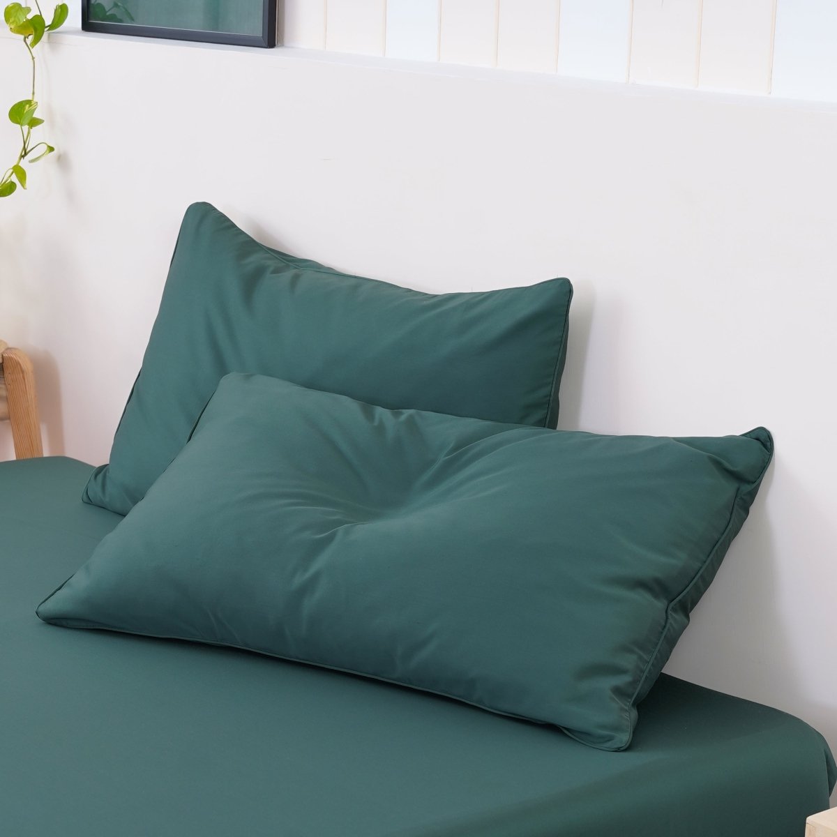 Ackly Bamboo - Royal Green Pillowcases x 2 - SHEET STORY - 3