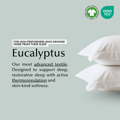 Cool & Comfy Silk Pillowcase Pair (Eucalyptus) - SHEET STORY - 6