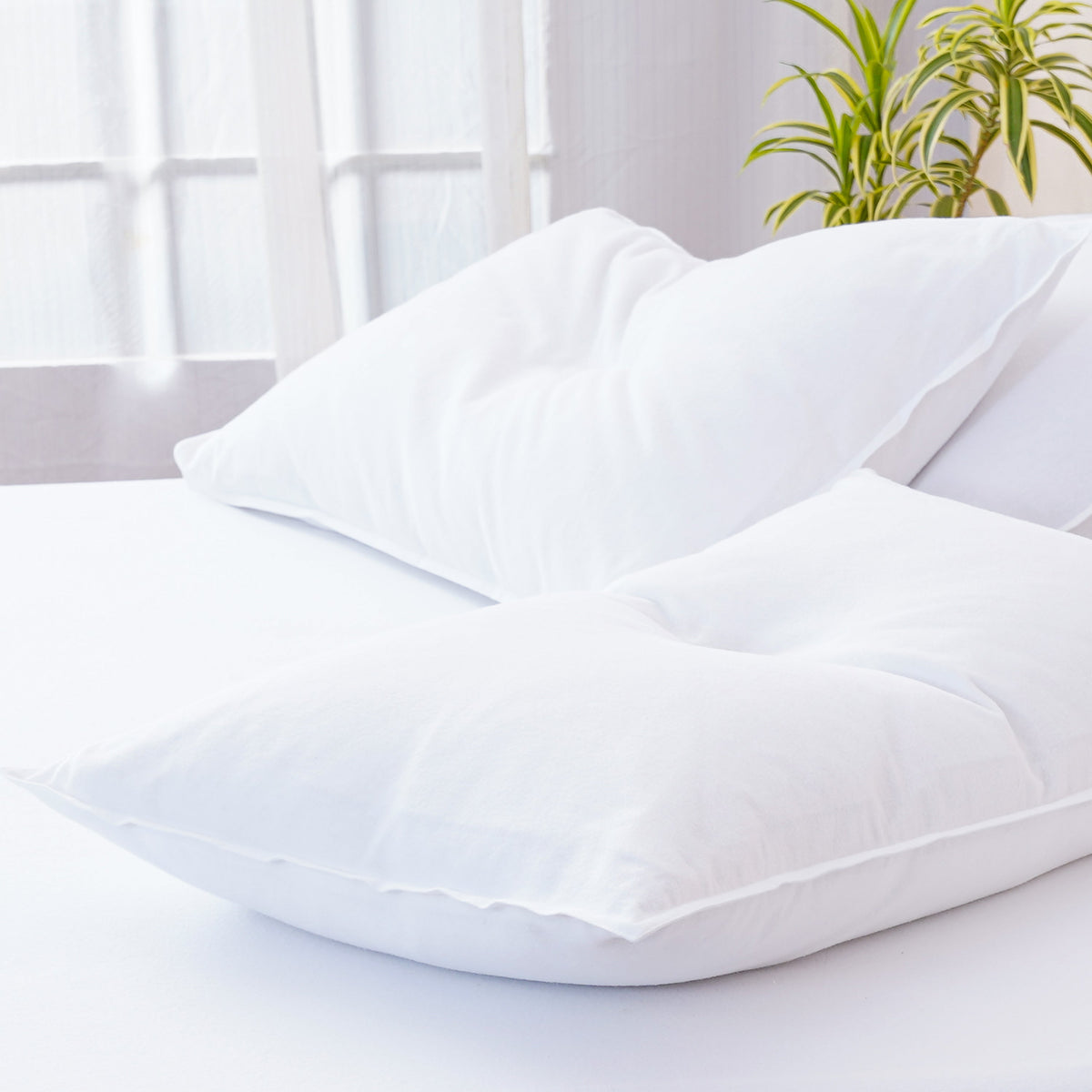 Bella Flannelette - White Pillowcases - SHEET STORY - 1