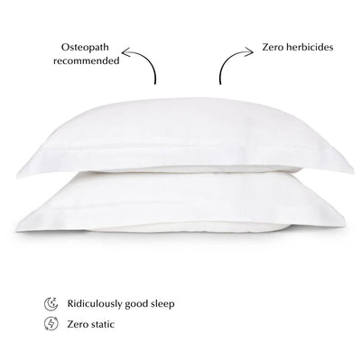Sleepyhead Silk Pillow Set in White (Top Seller) - SHEET STORY - 2