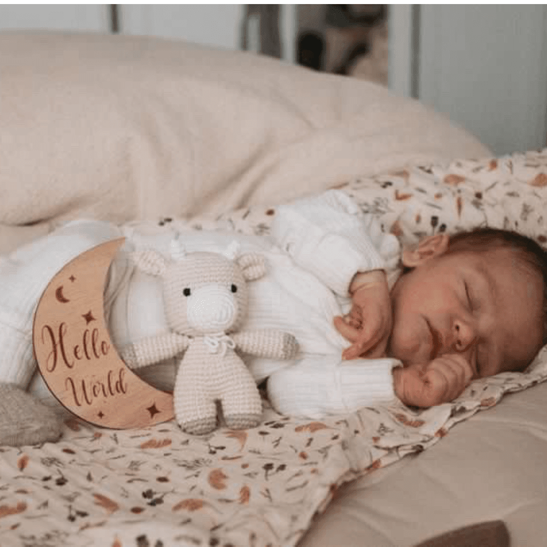 Wooden Month - by - Month Baby Milestone Set - SHEET STORY - 10