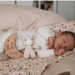 Wooden Month - by - Month Baby Milestone Set - SHEET STORY - 10